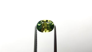 1.71ct 8.63x6.19x4.14mm Oval Brilliant Sapphire 25717-01