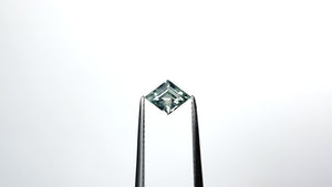 0.86ct 8.14x6.23x3.40mm Lozenge Step Cut Sapphire 24173-06