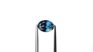 1.22ct 7.41x5.49x3.59mm Oval Brilliant Sapphire 28028-09