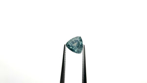 1.43ct 6.67x6.78x4.15mm Trillion Brilliant Sapphire 23676-03