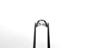 0.73ct 7.30x5.24x2.58mm Crescent Moon Rosecut 25460-05