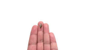 1.69ct 13.21x6.79x2.49mm Kite Rosecut Sapphire 26327-33