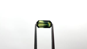 1.16ct 8.51x4.29x2.88mm Cut Corner Rectangle Step Cut Sapphire 26336-04