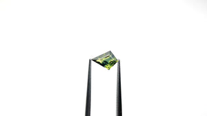 1.20ct 9.26x6.69x3.61mm Kite Step Cut Sapphire 25386-02