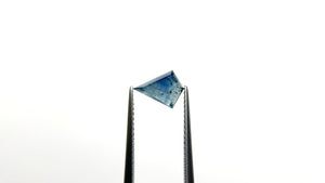 1.59ct 9.09x7.02x3.16mm Kite Portrait Cut Sapphire 23474-37