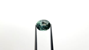 3.09ct 9.55x7.73x4.90mm Oval Brilliant Sapphire 24828-01