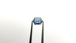 0.92ct 7.58x5.46x2.36mm Hexagon Step Cut Sapphire 23088-18