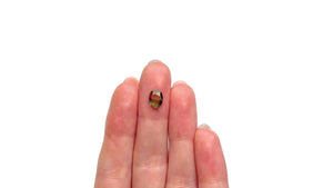 1.05ct 7.61x5.90x2.66mm Cushion Rosecut Sapphire 26327-66