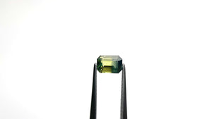 1.00ct 6.40x4.52x3.21mm Cut Corner Rectangle Step Cut Sapphire 25112-01