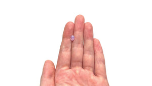 1.14ct 6.93x5.40x3.61mm Oval Brilliant Sapphire 23619-01