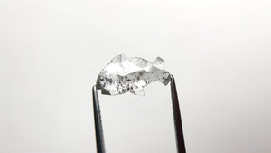 1.73ct 12.94x7.30x2.07mm Fish Rosecut 🇨🇦 24003-01
