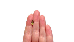 1.07ct 11.03x4.41x2.78mm Marquise Brilliant Sapphire 26339-02