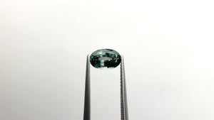 1.59ct 8.52x5.77x3.82mm Oval Brilliant Sapphire 23447-01