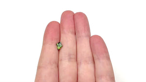 0.99ct 8.27x6.51x3.90mm Kite Step Cut Sapphire 27138-05