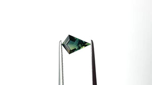 1.03ct 9.08x6.08x3.79mm Kite Step Cut Sapphire 27138-04