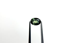1.01ct 6.69x4.92x3.40mm Oval Brilliant Sapphire 23437-47