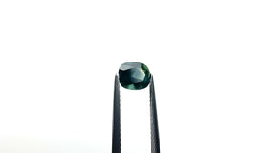 1.15ct 6.64x5.95x3.72mm Cushion Brilliant Sapphire 26619-04