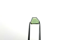 1.25ct 9.22x6.55x1.70mm Geometric Shield Portrait Cut Sapphire 23433-50