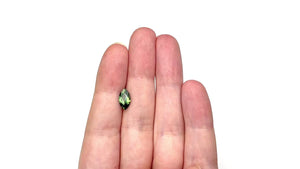 1.67ct 11.13x6.11x3.55mm Marquise Brilliant Sapphire 27313-02