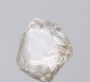 4.31ct Rough Diamond 43-42-8