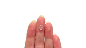 1.49ct 7.57x7.32x2.94mm Shield Portrait Cut Sapphire 22434-132