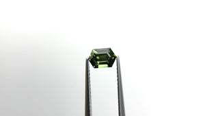 0.91ct 6.82x4.64x3.54mm Hexagon Step Cut Sapphire 23485-04