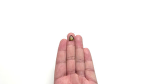 2.86ct 10.84x10.74x3.39mm Amorphous Rosecut Sapphire 26327-14
