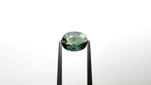 1.10ct 8.01x6.19x2.93mm Oval Brilliant Sapphire 25780-09