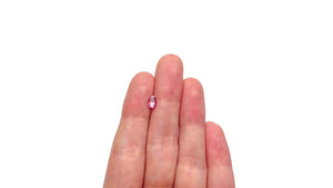 0.51ct 5.68x4.03x2.98mm Oval Brilliant Sapphire 26647-02