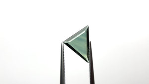 1.22ct 11.65x8.21x1.71mm Triangle Portrait Cut Sapphire 23433-37