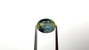 3.00ct 9.56x7.54x4.62mm Oval Brilliant Sapphire 23542-01