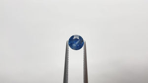 0.98ct 6.07x6.01x3.83mm Round Brilliant Sapphire 19937-05