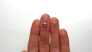 0.99ct 6.59x7.83x1.47mm Shield Portrait Cut Sapphire 19969-01