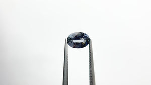 1.49ct 8.45x6.01x3.50mm Oval Brilliant Sapphire 22250-01