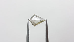 0.60ct 9.00x6.86x1.73mm Kite Rosecut 18222-02