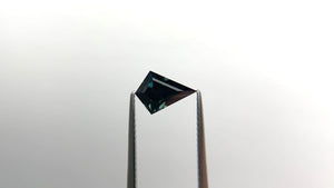 HOLD D13647 April 3rd 2025 1.46ct 9.56x6.81x4.43mm Kite Brilliant Sapphire 22268-05