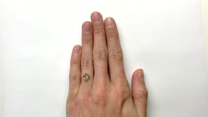 1.39ct 8.64x7.99x3.66mm Kite Rosecut 18285-05