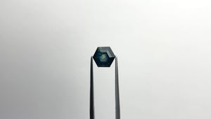 3.05ct 8.60x7.33x5.68mm Hexagon Step Cut Sapphire 20983-01