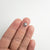1.53ct 8.51x7.04x2.81mm Cushion Rosecut 18219-06 - Misfit Diamonds