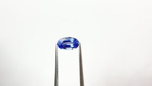 1.26ct 8.33x5.07x3.44mm Oval Brilliant Sapphire 22189-01