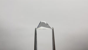 0.51ct 10.22x5.26x1.24mm VVS E Geometric Rosecut 20027-02