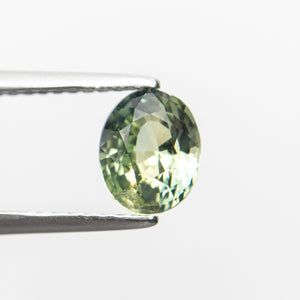 1.17ct 6.89x5.51x3.83mm Oval Brilliant Sapphire 19115-18