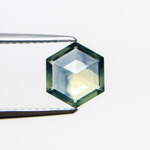 1.26ct 8.31x7.13x2.60mm Hexagon Double Cut Sapphire 19381-01