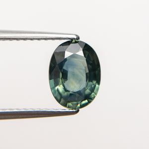 1.54ct 8.28x6.26x3.39mm Oval Brilliant Sapphire 19450-01