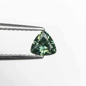1.10ct 4.88x4.73x2.90mm Trillion Brilliant Sapphire 19702-01