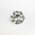 1.22ct 7.28x7.24x3.75mm VS2 O-P Old European Cut 19815-01