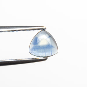 0.55ct 5.50x5.86x1.65mm Trillion Cabochon Cut Sapphire 19846-01