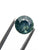 0.90ct 6.03x5.96x3.59mm Round Brilliant Sapphire 19937-09