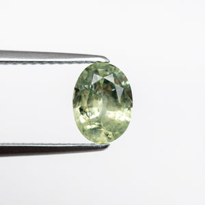 1.15ct 7.42x5.49x3.49mm Oval Brilliant Sapphire 19938-16