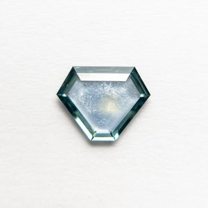 0.83ct 6.48x8.28x1.50mm Shield Portrait Cut Sapphire 19959-01